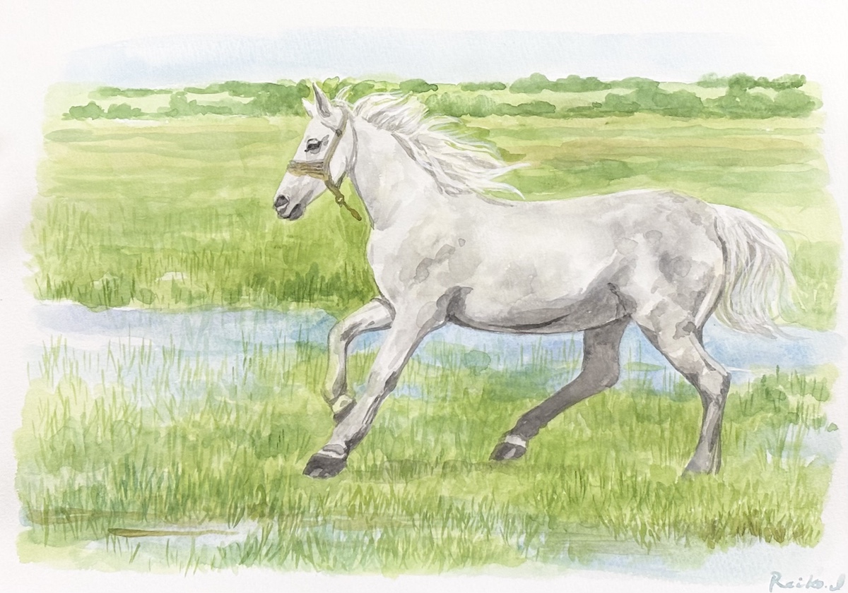 自然の息吹とともに。風を切って駆ける「白馬」